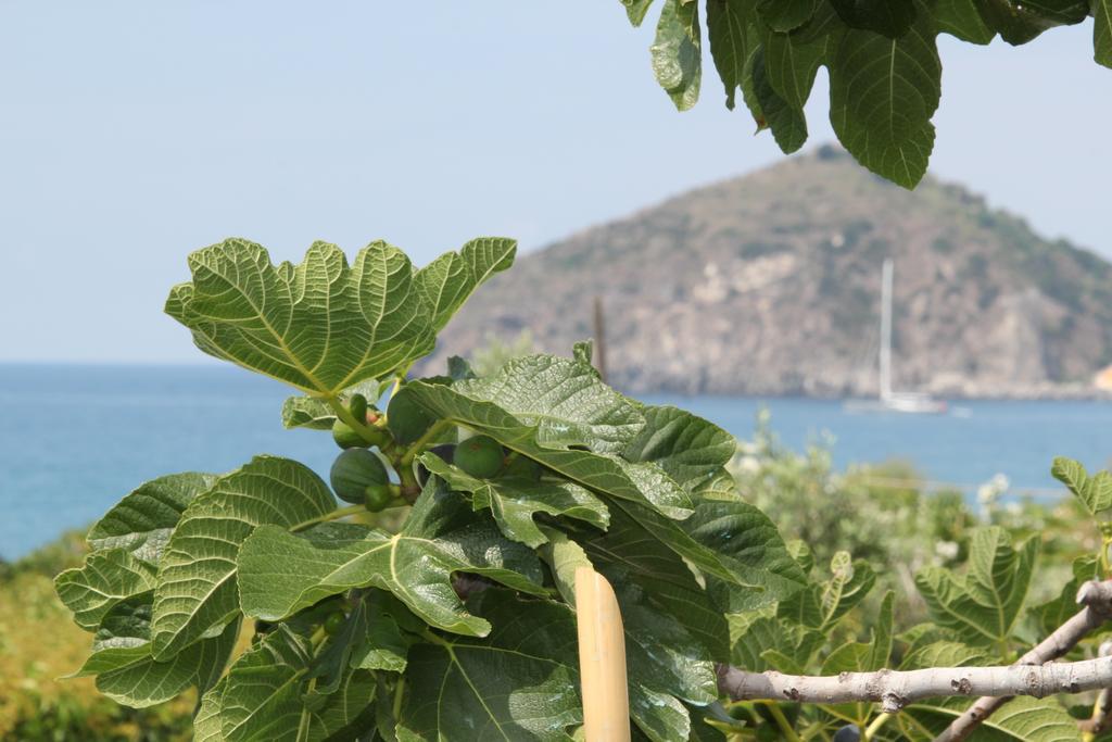 Hotel Maronti Barano dʼIschia Εξωτερικό φωτογραφία
