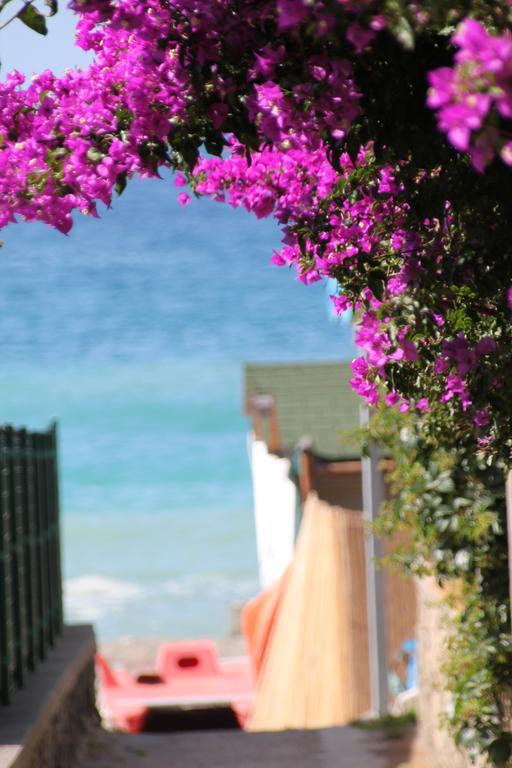 Hotel Maronti Barano dʼIschia Εξωτερικό φωτογραφία